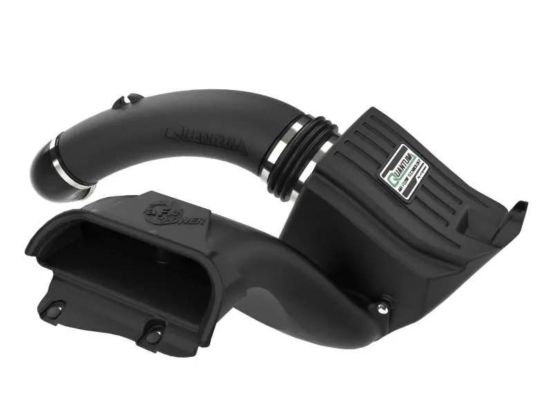 Afe 15-20 Ford F-150 Quantum Cold Air Intake System W/ Pro Dry S Filter 1