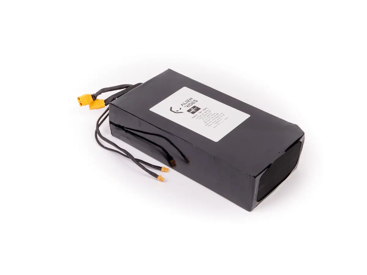 Vsett 10+ Custom 35 Ah Extended Range Battery 1