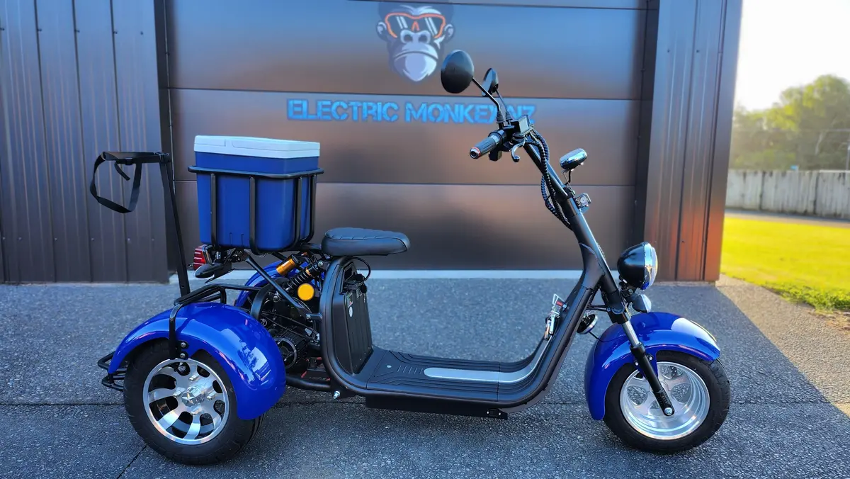 Electric Monkey Golf Trike (Emgt) - Road Legal 1