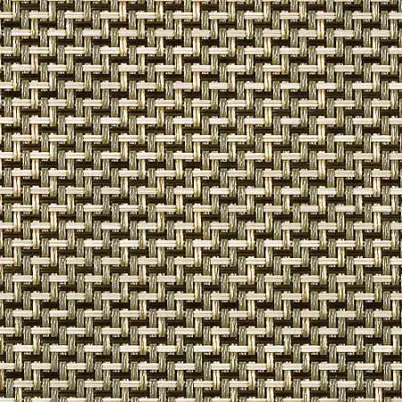 Earth Tone - Trellis Moss 1