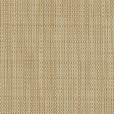 Earth Tone - Glisten Silver 1