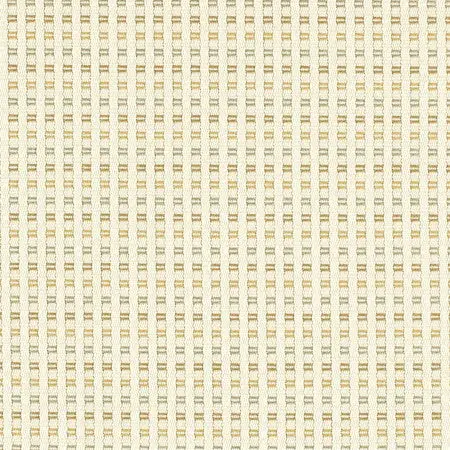 Yellow & Gray - Fame Champagne 1