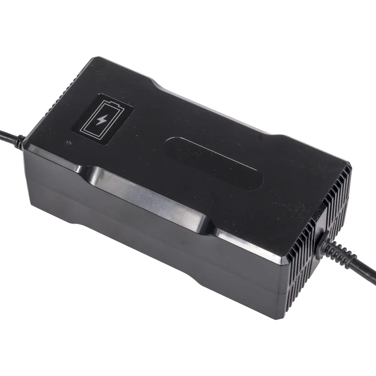 48V (54.6V Max) 5A Charger 1