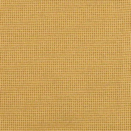 Citrus - Fife Cornsilk 1