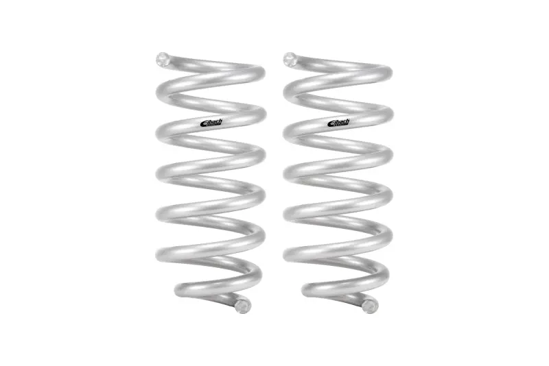 Eibach 18-24 Ford Expedition Stage 1 Rear Spring System 1