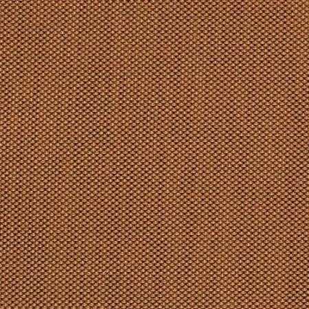 Earth Tone - Augustine Nutmeg 1