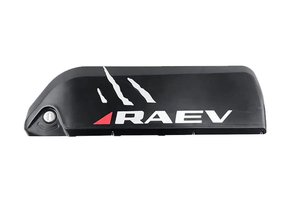 Raev 48V 13Ah Battery 1