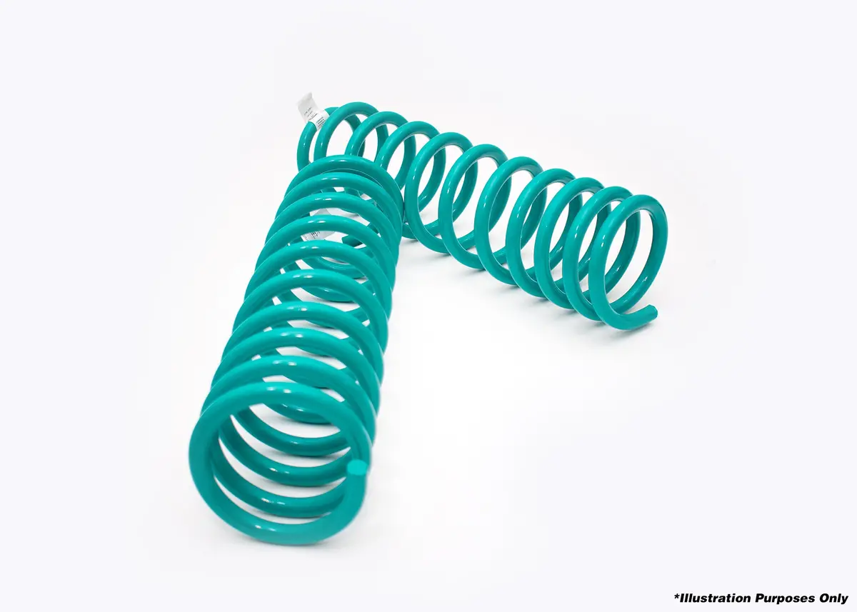 Dobinsons Coil Springs Pair - C19-516 1