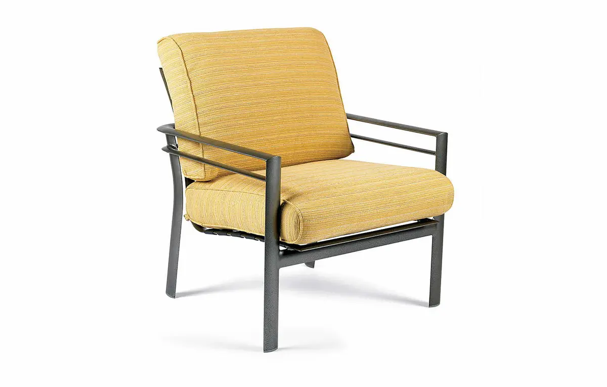 Stationary Lounge Chair 1