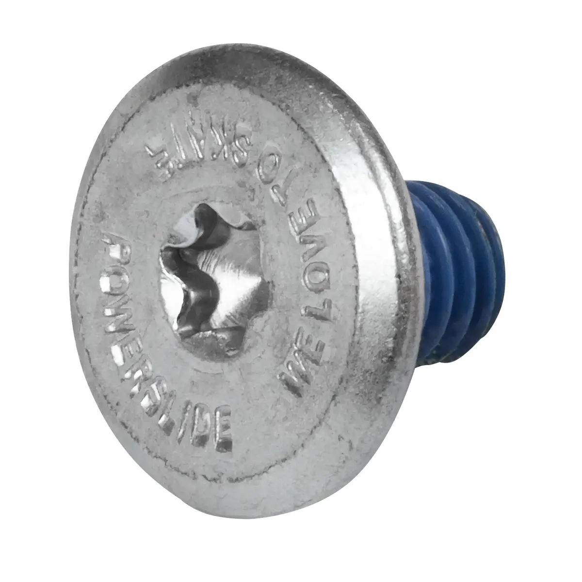 Torx Mounting Screw 10Mm 1