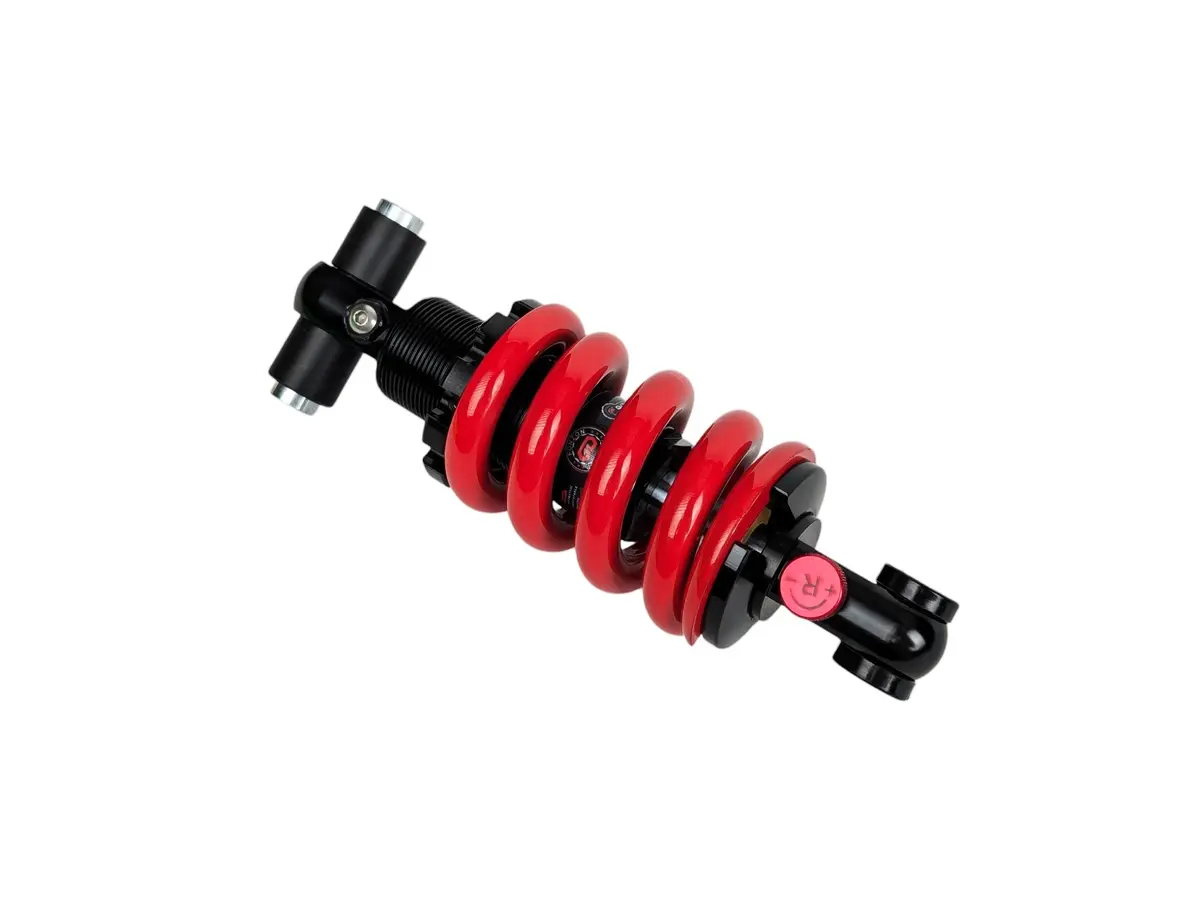 Inmotion Rs Shock Absorber 1