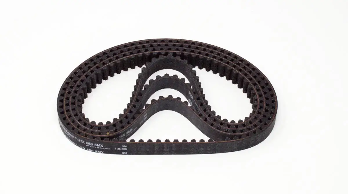 Light Bee Primary Belt 1