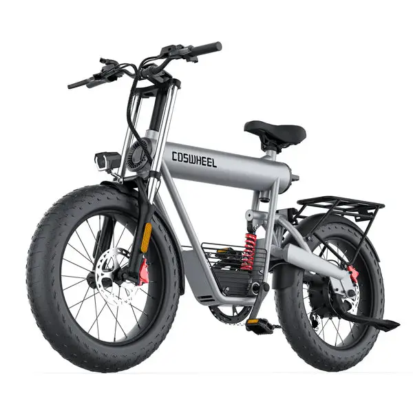 Coswheel Rybit T20 1000 Watt 48V Electric Bicycle 1