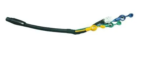 Inmotion Rs Motor Harness Cable 1
