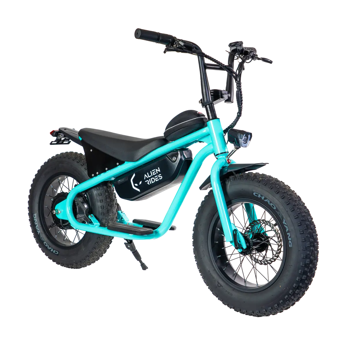 Ar Atom 1000 Watt Mini Electric Bicycle 1