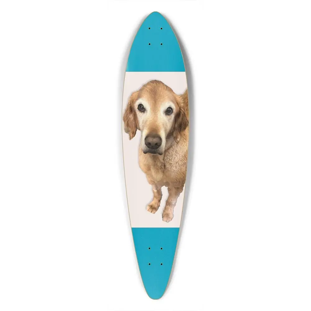 Custom Longboard White Stripe 1
