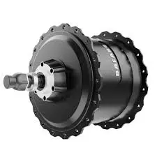48V 1000W Alien Rides Atom Rear Motor 1