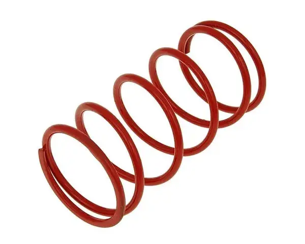 Malossi Red Torque Spring 1